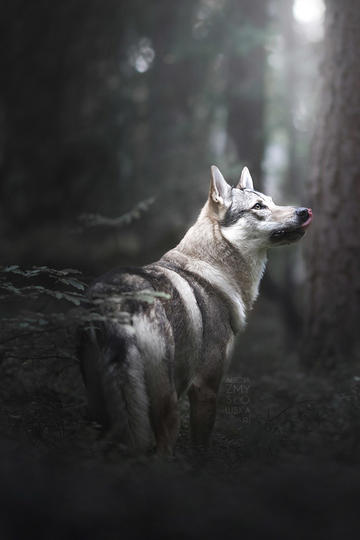 作为考研人，只要周围人知道你考研，肯定逃不了一顿“灵魂拷问”…