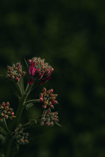 四家重量级机构在深圳揭牌