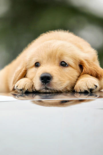 美国向中国商品征收125%关税，对普通人产生什么影响？