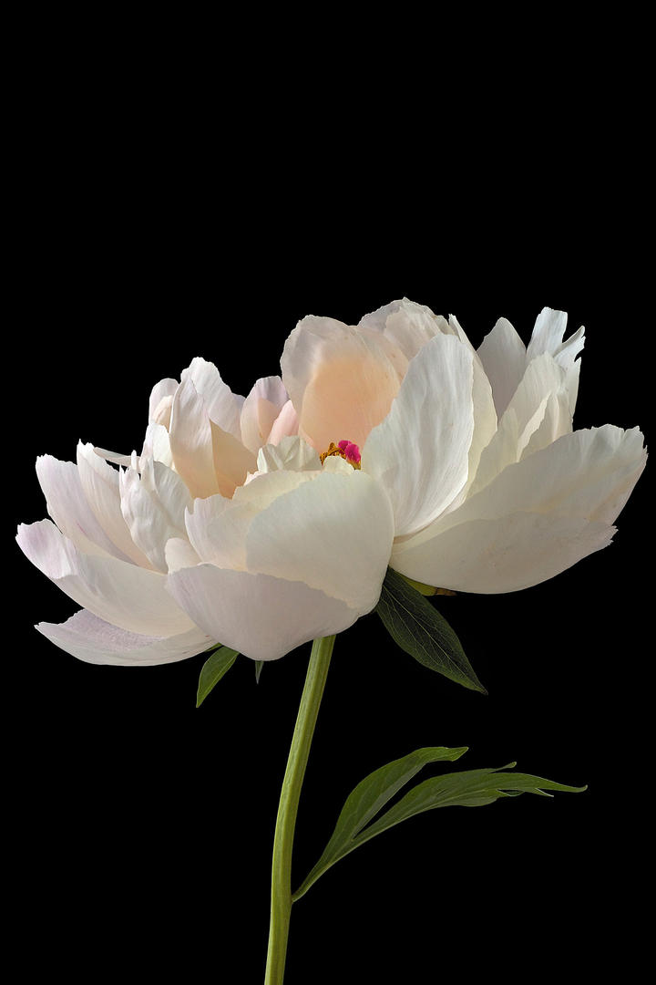 幼儿园老师在家长群只发个别小朋友照片和视频，要和老师沟通吗？作为家长心里有点不舒服，该怎么办？